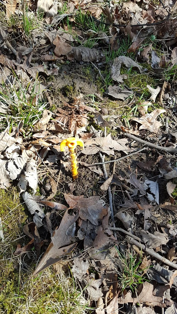 Tentsile Flite Tree Tent 20 Tentsile Flite Tree Tent - Image 20