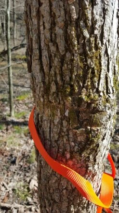 Tentsile Flite Tree Tent 29 Tentsile Flite Tree Tent -Firesettle Camp Shop 13