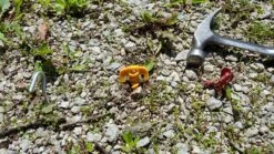 Tentsile X3 Giant Pegs -Firesettle Camp Shop 20160515 140454