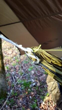 Hammock Gear Premium Incubator 20° -Firesettle Camp Shop 20180417 082253