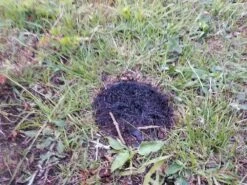 Patagonia Wood Burning Stove -Firesettle Camp Shop 20200613 060553