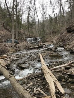 Hilleberg Kaitum 4 -Firesettle Camp Shop A6E3C575 B428 407A A392 0C4D7D759820