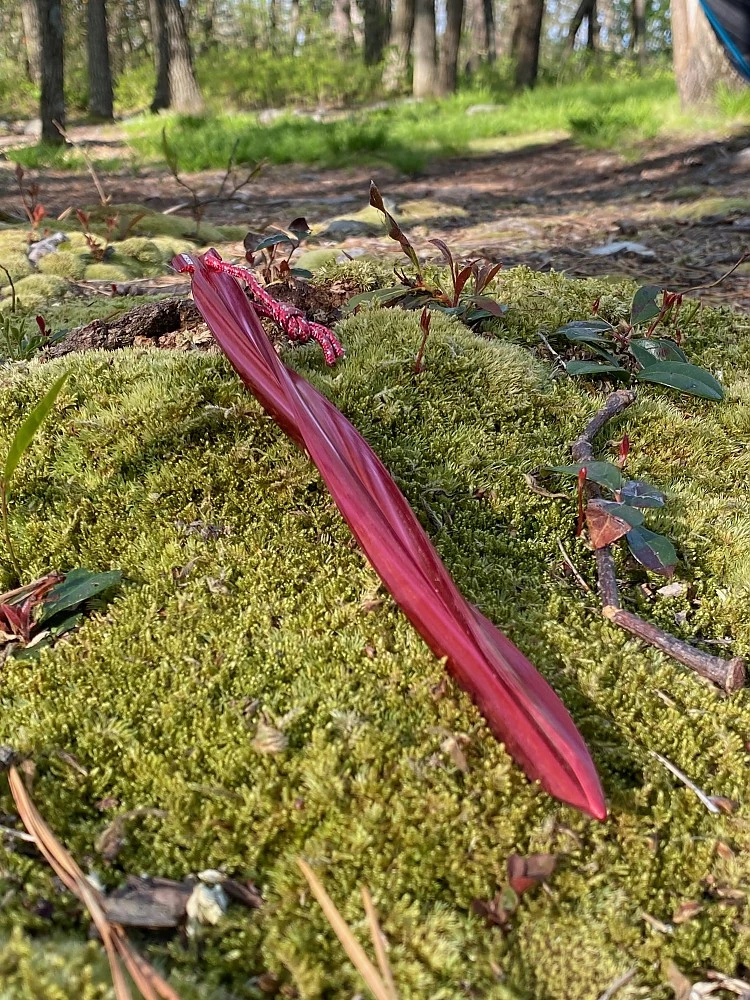 MSR Cyclone Tent Stakes 5 MSR Cyclone Tent Stakes - Image 5