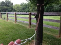 Hummingbird Hammocks Tree Straps -Firesettle Camp Shop IMG 3946 1