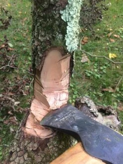 Hults Bruk Almike 30 Hults Bruk Almike -Firesettle Camp Shop IMG 5799