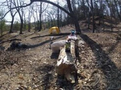 The North Face Tadpole 2 -Firesettle Camp Shop Nordhouse 3 1 15 002