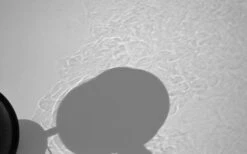 Soto WindMaster 33 Soto WindMaster -Firesettle Camp Shop SotoSch07