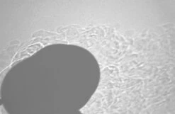 Soto WindMaster 32 Soto WindMaster -Firesettle Camp Shop SotoSch08