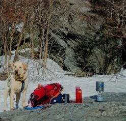 MSR PocketRocket -Firesettle Camp Shop pocket rocket