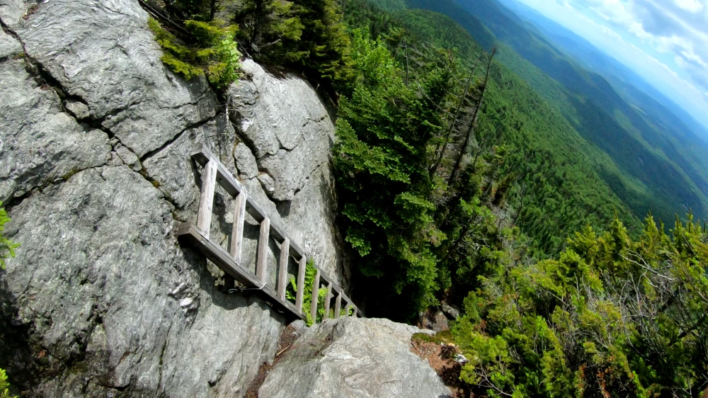 Emberlit FireAnt Titanium 8 Emberlit FireAnt Titanium - Image 8